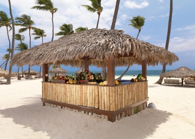 The All Inclusive Resort Paradisus Palma Real in Punta Cana